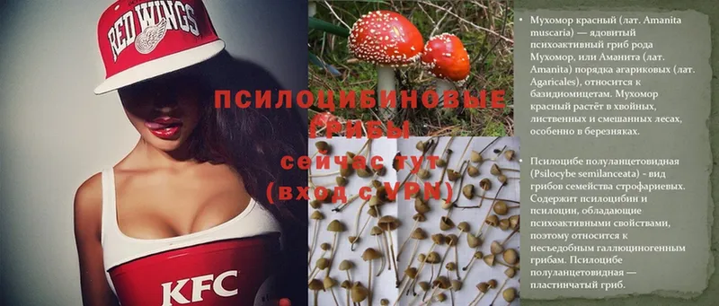 Псилоцибиновые грибы Magic Shrooms  купить наркотик  Верхний Уфалей 